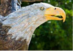 Bronzefigur Weißkopfseeadler 